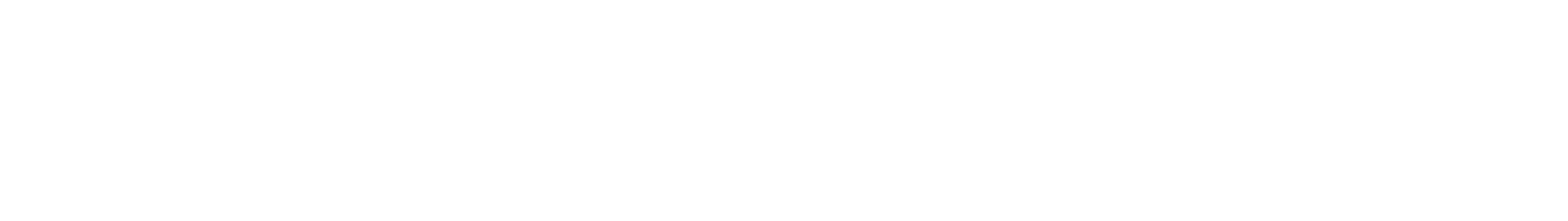 ElectroNet Logo